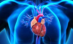 Kalp sağlığı için uzmanından öneri...
