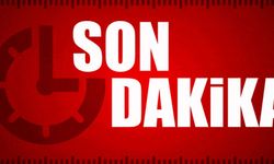 Ahmet Özer davasında Mahkeme kayyumun iptali için AYM'ye başvurdu