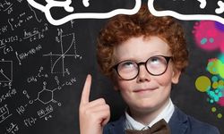 Türkiye'nin zeka seviyesi en yüksek illeri açıklandı! İlk sıradaki şehir şaşırttı