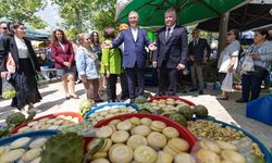Enginar festivalinde konuşan Tugay: Tarım kötüye gidiyor