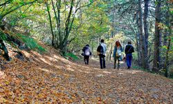 Ormanlara girişler yasaklandı: Tarih verildi