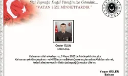 Mayına basarak yaralanan asker şehit oldu