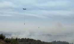 Adana’da orman yangını kontrol altında: 6 gözaltı