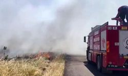 Anız yangını ormanlık alana sıçradı