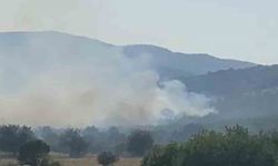 Balıkesir’de meralık alanda yangın
