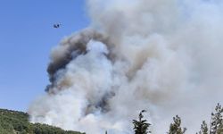 Balıkesir’deki orman yangınına müdahale ediliyor