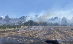 Çanakkale’deki orman yangını kontrol altına alındı
