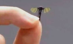 Çin'de sivrisinek boyutunda savaş dronu geliştirildi