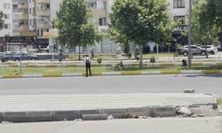 Diyarbakır’da sürü halinde gezen köpekler vatandaşları korkuttu