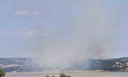 Edirne’de orman yangını kontrol altına alındı