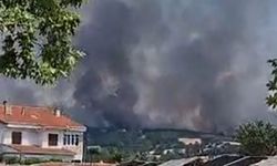 Edirne’de orman yangınına havadan ve karadan müdahale ediliyor