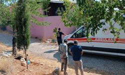 Eşini silahla vurarak öldürdü