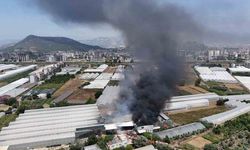 Fide üretim merkezi alev alev yandı çalışanlar gözyaşlarına boğuldu