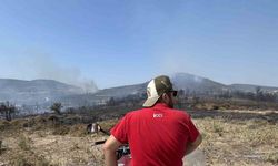 Foça yangınında alevler evlerin bahçelerine kadar yaklaştı
