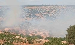 Gaziantep’te fıstık ve zeytin bahçelerinde yangın