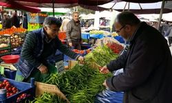 Gelirimiz 5 ayda 198 milyar lira eridi