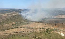 İzmir’de ormanlık alanda yangına havadan ve karadan müdahale başladı