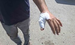 Kahramanmaraş’ta acemi kasaplar hastaneye koştu