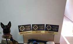 Kocaeli’nde uyuşturucu operasyonu: 9 bin 900 ecstasy hap ele geçirildi