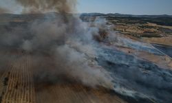 Kula’da ekili arazide büyük yangın