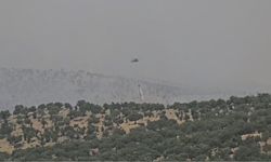 Mardin’de çıkan orman yangını kontrol altına alındı