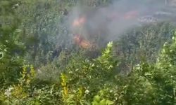 Otluk alanda çıkan yangın, kara yolunu kapladı