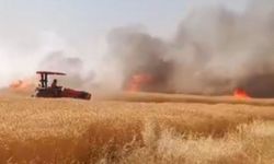 Şanlıurfa’da buğday tarlasında çıkan yangın kontrol altına alındı