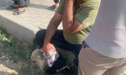 Şanlıurfa’da çocukların kavgasına büyükler karıştı: 5 yaralı