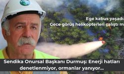 Sendika Onursal Başkanı Durmuş: Enerji hatları denetlenmiyor, ormanlar yanıyor