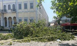 Tarihi Kemeraltı Çarşısı girişindeki dev çınar devrildi