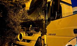 Tır sürücüsü uyudu, ortalık savaş alanına döndü: Önce üste geçide ardından da ağaç ile 2 araca çarptı