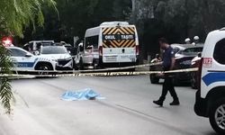 Yola yatan kadının üzerinden 2 araba geçti