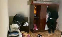 Zehir yuvalarına üç aylık takibin ardından baskın: 20 tutuklama
