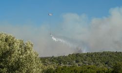Çeşme ve Ödemiş'te orman yangınları devam ediyor