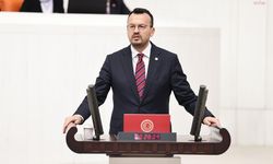 CHP’li Arpacı’dan TBMM’de zeytinlik isyanı: