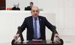 CHP'li Nalbantoğlu: Somut bulgu olması için ormanların tamamının yanması mı gerek?
