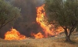 Manisa'daki yangın 20 saat sonra kontrol altında