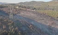 Manisa'daki yangın 2'nci gününde: Müdahale sürüyor