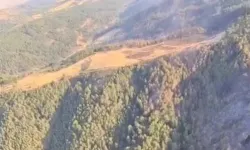Uşak ve Bilecik’te yangınlar kontrol altında...