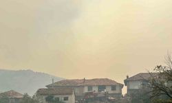 Uşak’ta yangına havadan ve karadan müdahale... 1 köy tahliye ediliyor