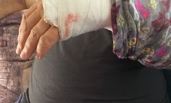 180 liralık kantar ücreti için çalışanı vurdu