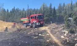 Aliağa’da ormanlık alanda çıkan yangın söndürüldü
