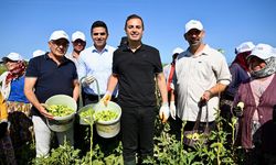 Başkan Akın: “Bu topraklarda birlik var, beraberlik var”