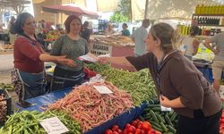 Bodrum Belediyesi Kadın ve Aile Hizmetleri ekipleri sahada