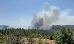 Çanakkale’de orman yangını