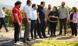 CHP’li Arpacı: TARİŞ algı yapıyor, üretici de tüketici de mutsuz