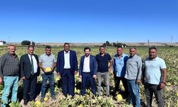 CHP'li Gürer: “Üreten dertli, tüketen dertli”
