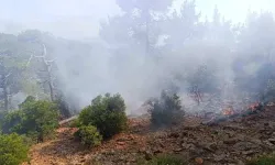 Denizli'de korkutan orman yangını! Müdahale sürüyor