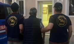 Hayvanları zehirleyip, etleri çocuklara dağıttırmış