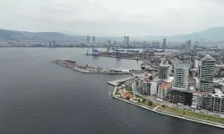 İzmir Körfezi'nde Kötü Koku ve Toplu Balık Ölümleri Sorunu